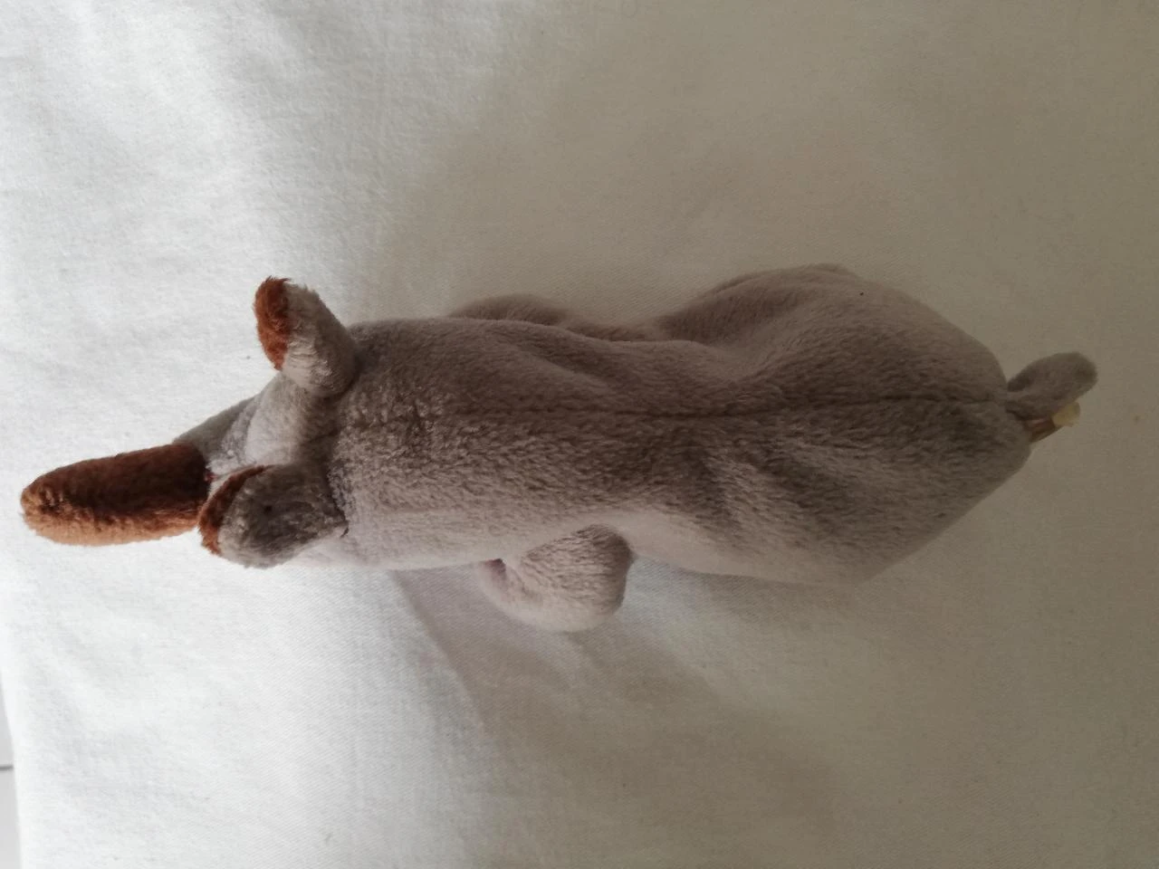 TY pluche neushoorn – photo 5